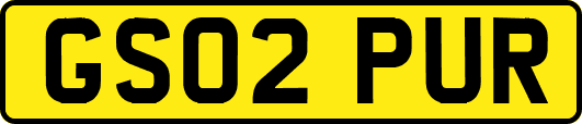 GS02PUR