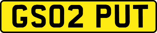 GS02PUT