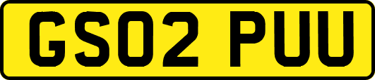 GS02PUU