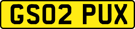 GS02PUX
