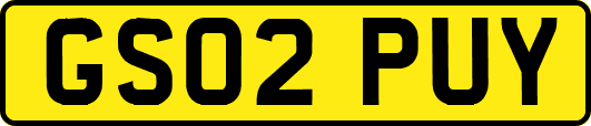 GS02PUY