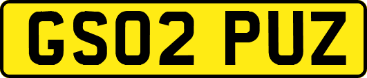 GS02PUZ