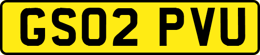 GS02PVU