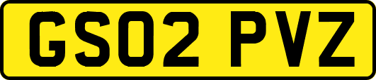 GS02PVZ