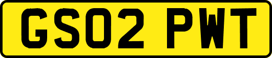 GS02PWT