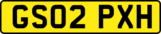GS02PXH