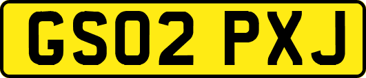 GS02PXJ