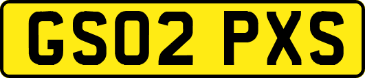 GS02PXS