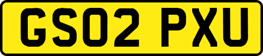 GS02PXU