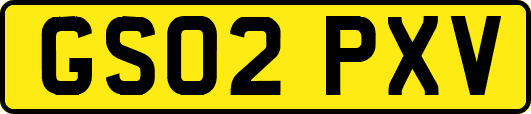 GS02PXV