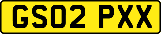 GS02PXX