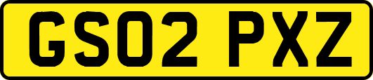 GS02PXZ