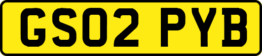 GS02PYB