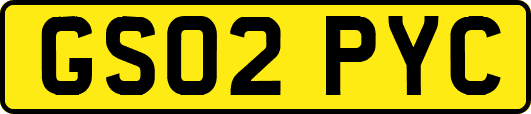 GS02PYC