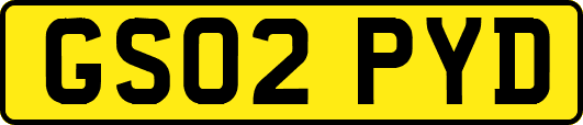 GS02PYD
