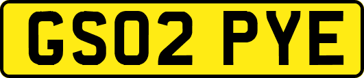 GS02PYE