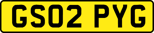 GS02PYG
