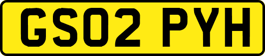 GS02PYH