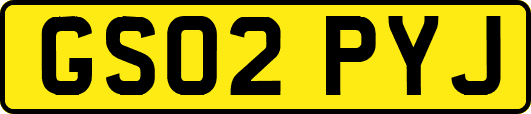 GS02PYJ