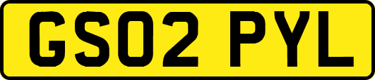 GS02PYL