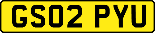 GS02PYU