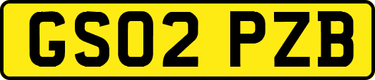 GS02PZB
