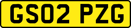 GS02PZG