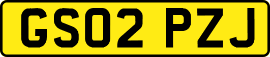 GS02PZJ