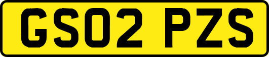 GS02PZS