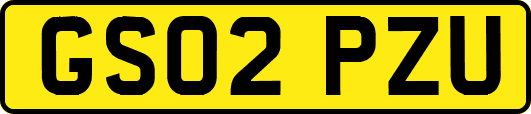 GS02PZU