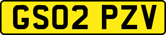 GS02PZV