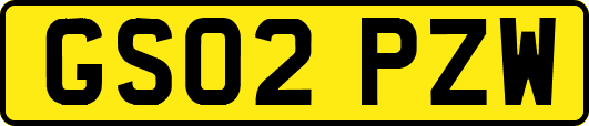 GS02PZW