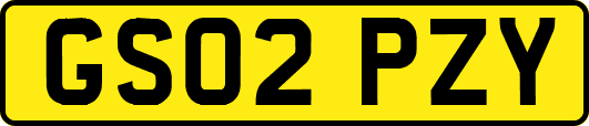 GS02PZY