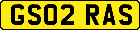 GS02RAS