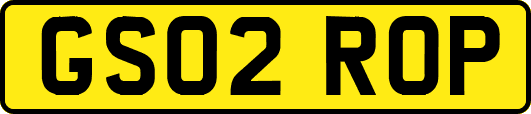 GS02ROP
