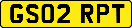 GS02RPT