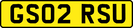 GS02RSU