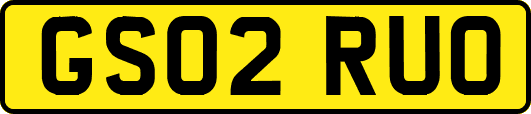 GS02RUO