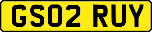 GS02RUY