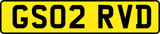 GS02RVD