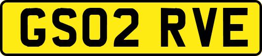 GS02RVE