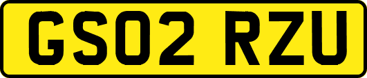 GS02RZU