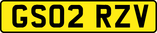 GS02RZV