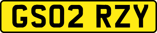 GS02RZY