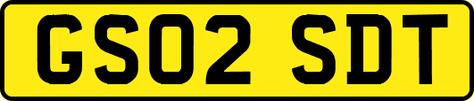 GS02SDT