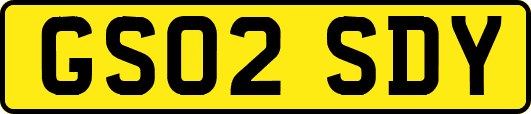 GS02SDY