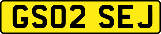 GS02SEJ