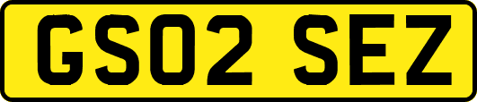 GS02SEZ