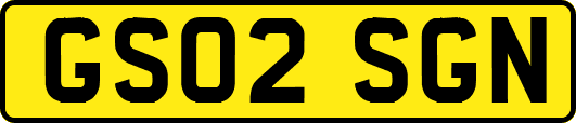 GS02SGN
