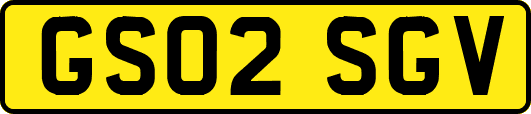 GS02SGV